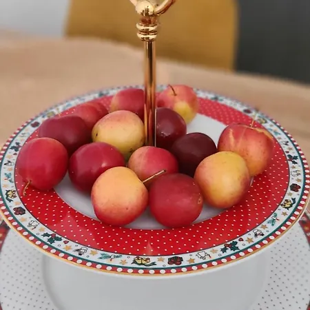 Apartment Emi's Tirana