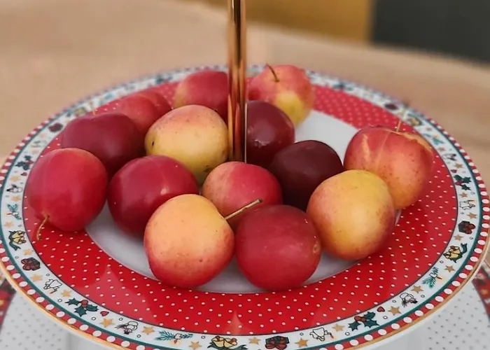 Appartement Emi's Tirana